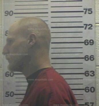 Chris William Sandy