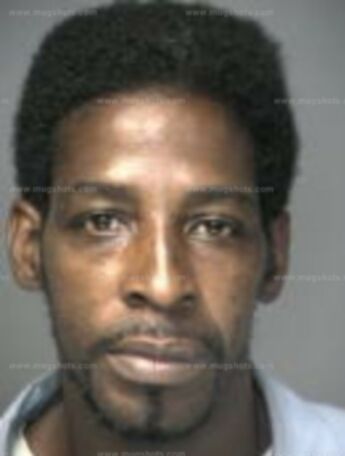 Wayne Stephens