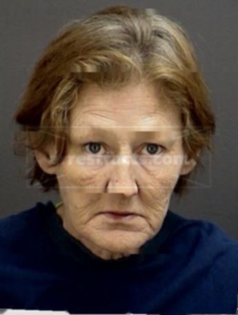 Judy Gayle Rushing
