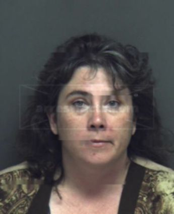 Teresa Lynne Neslein