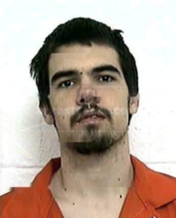 Timothy J Wigginton