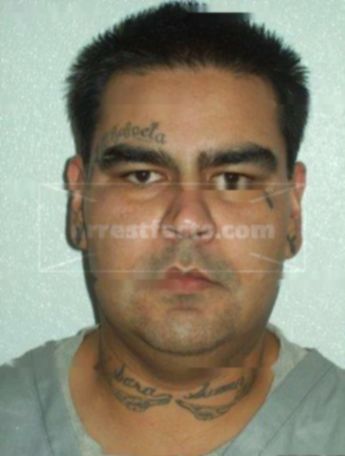 Robert R Bernal