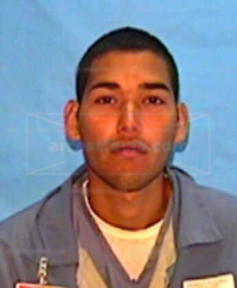 Ariel J Perez-Palma