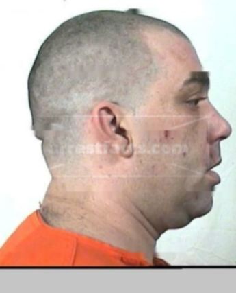 Michael F Shelton