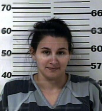 Nikki Lee Davis