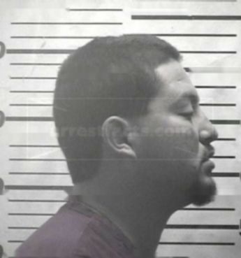 Louis P Branch