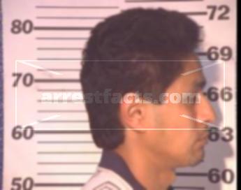 Mario Gomez Arcola
