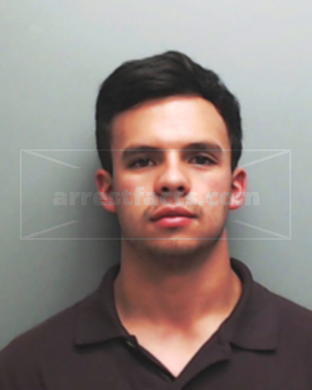 David Silva Hamilton