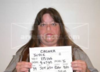 Joyce Wyse Casner