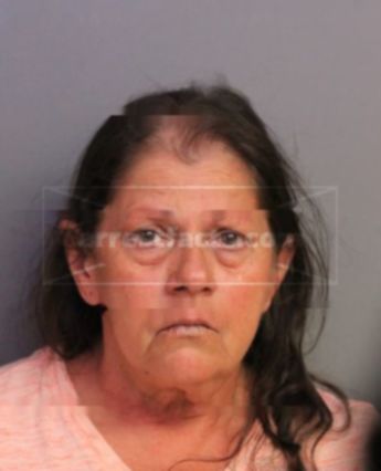 Sarah Ann Waters