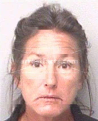Lyn Ann Mitchell