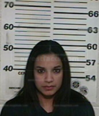 Michelle Nicole Romo Wilson