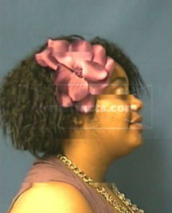 Erica S Wilson