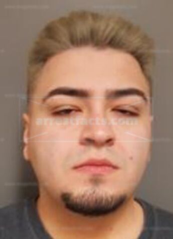 Herb Armando Camarena