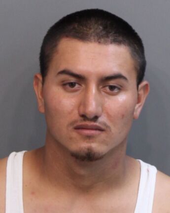 Francisco Hernandez-Rodriguez