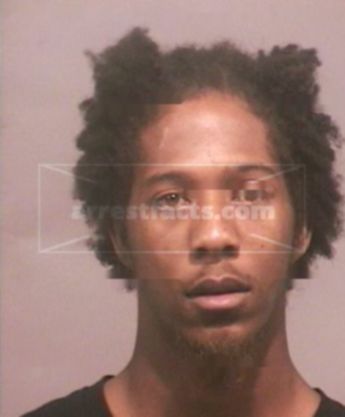 Terrell S Holton