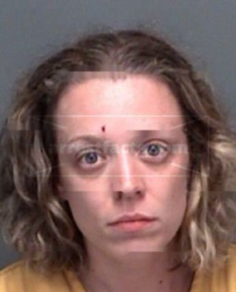 Erin L Hottenstine