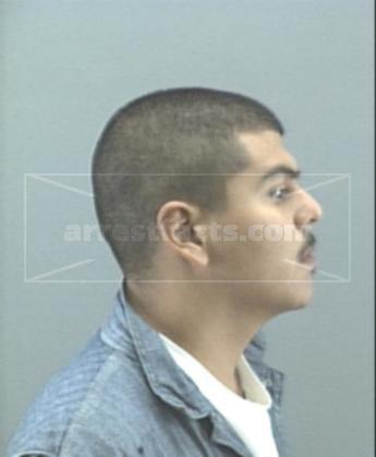 Norman Castillo Pitman