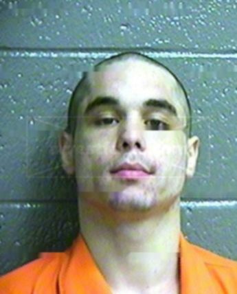 Andrew L Elledge