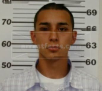 Emiliano Zappata Vallejos