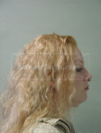 Heather L Westrich