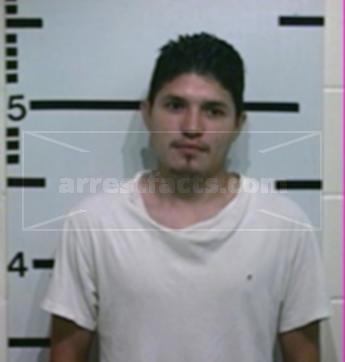 Michael Pena Flores