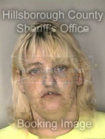 Tammy M Hibbs