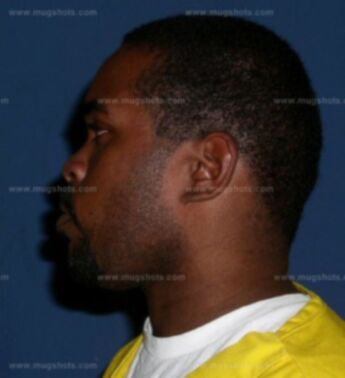 Lavell M Morris