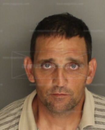 Shelton Lester Shealy