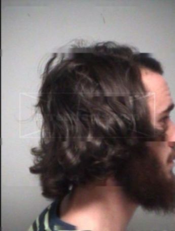 David Austin Totherow