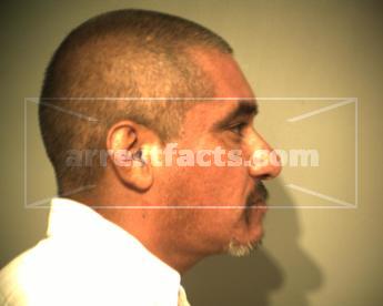 Raul Sergio Ibarra Cazares
