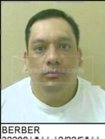 Luis M Berber