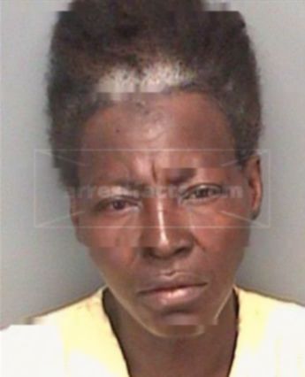Brenda Ann Howard