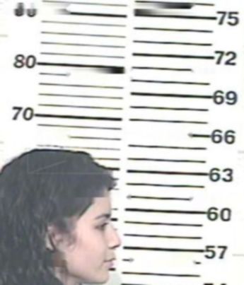 Mercedes Nava Flores