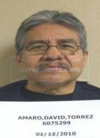 David Torrez Amaro