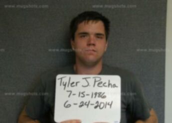 Tyler J Pecha