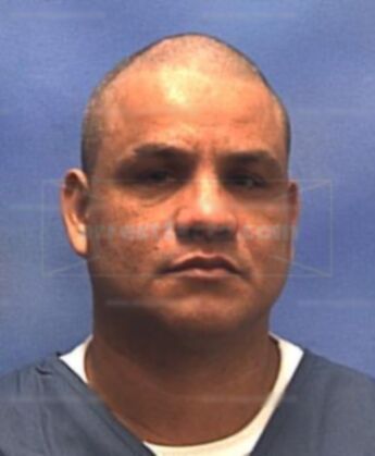 Gustavo L Gomez