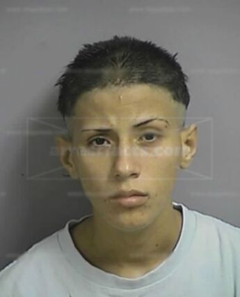 Rose Mary Negron-Martinez
