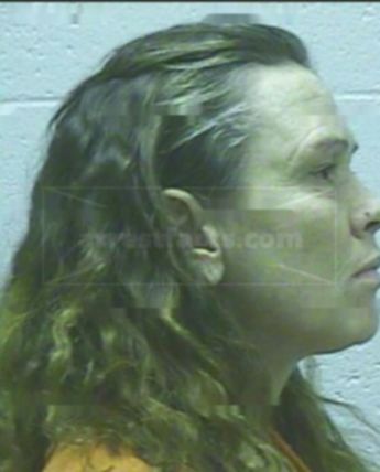 Sherrie J Brinkley
