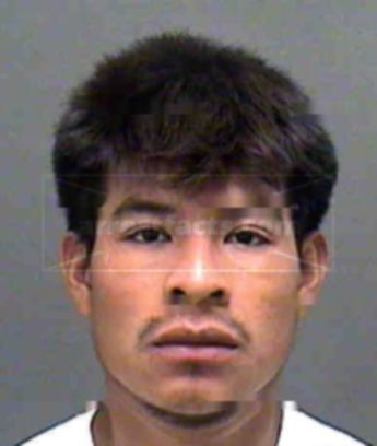 Lreneo Hernandez-Hernandez