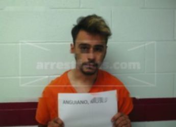 Moses Benjamin Anguiano