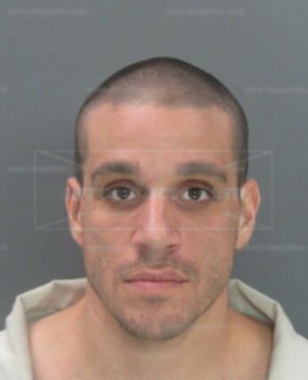 Michael Thomas Orengo