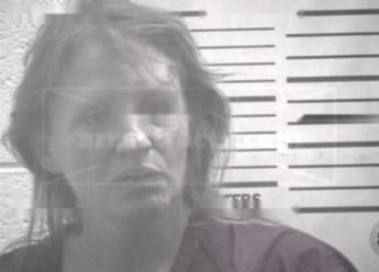 Virginia Elaine Adams