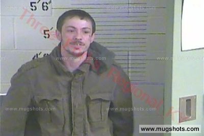 Robin D Collins