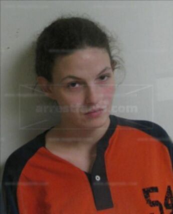 Rebecca Arp