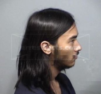 Alexander W Carrillo