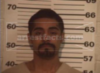 Tomas Palomares Longoria