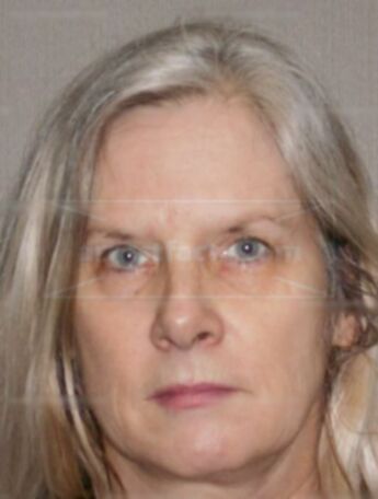 Lynn M Gerrits