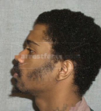 Robert T Jones
