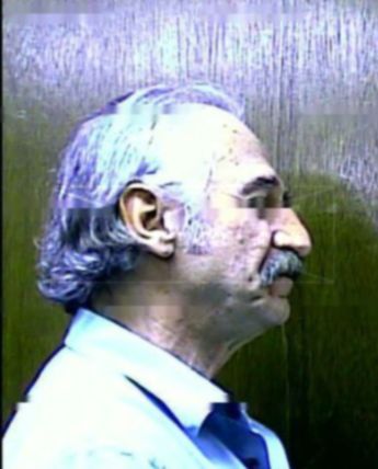 Darrell M Williamson